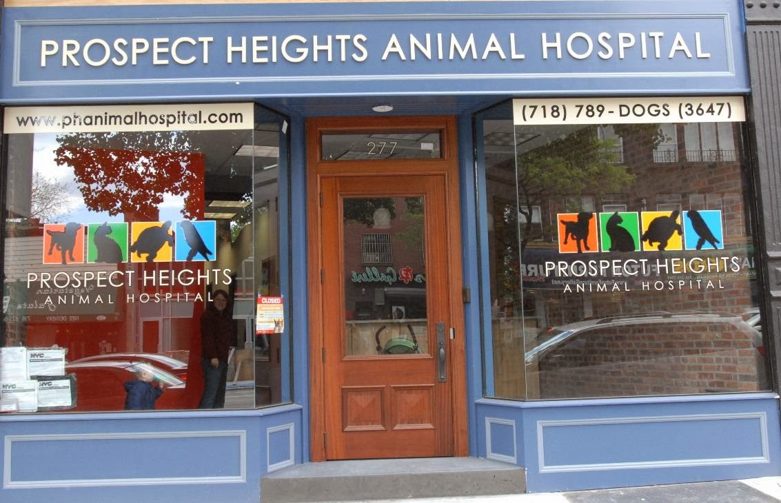 Photo of Prospect Heights Animal Hospital in Kings County City, New York, United States - 1 Picture of Point of interest, Establishment, Health, Veterinary care
