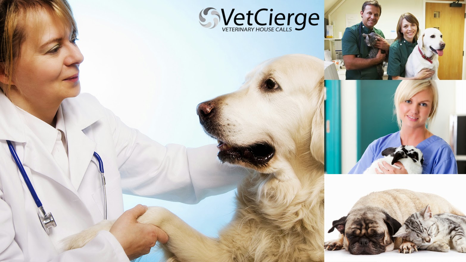 Photo of VetCierge Veterinary House Calls in New York City, New York, United States - 5 Picture of Point of interest, Establishment, Veterinary care