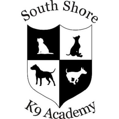 Photo of South Shore K9 Academy in Oceanside City, New York, United States - 5 Picture of Point of interest, Establishment