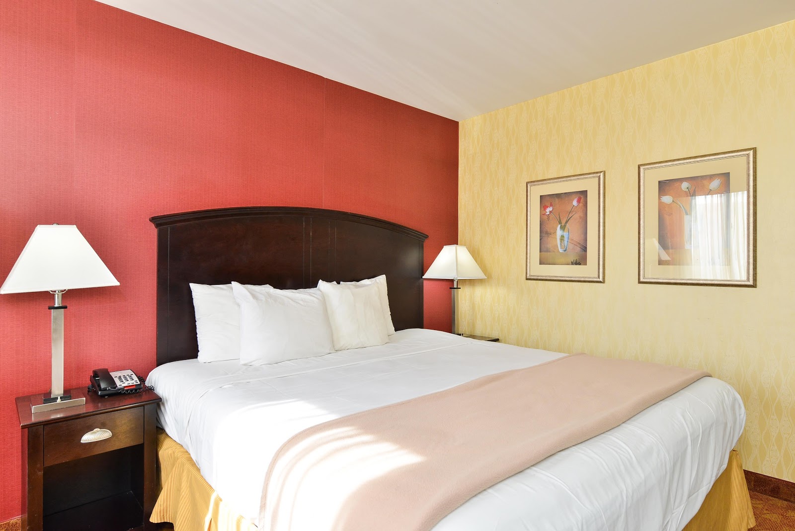 Photo of Lexington Inn at JFK Airport in Queens City, New York, United States - 6 Picture of Point of interest, Establishment, Lodging