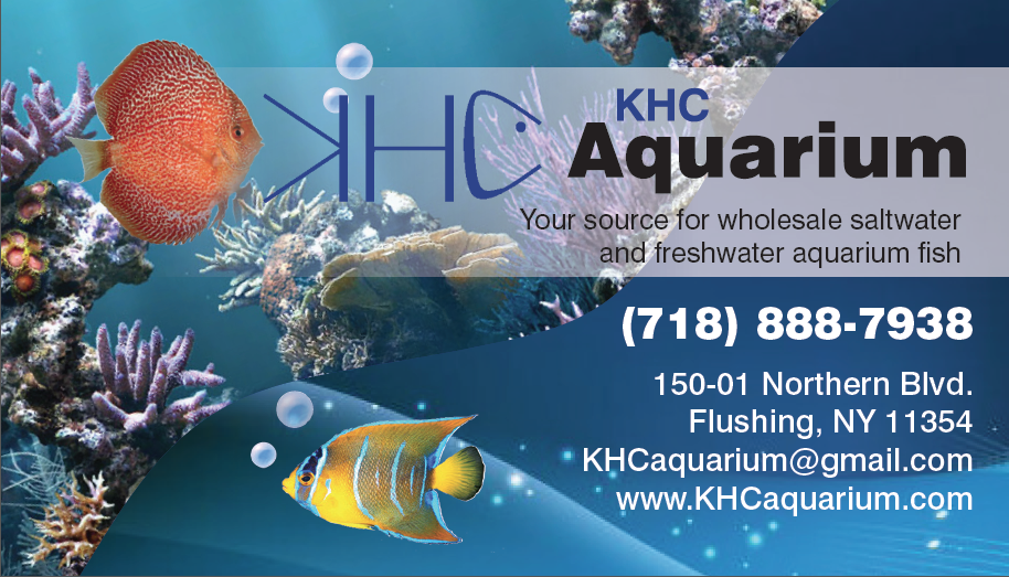 Photo of KHC Aquarium in Flushing City, New York, United States - 5 Picture of Point of interest, Establishment, Store, Pet store