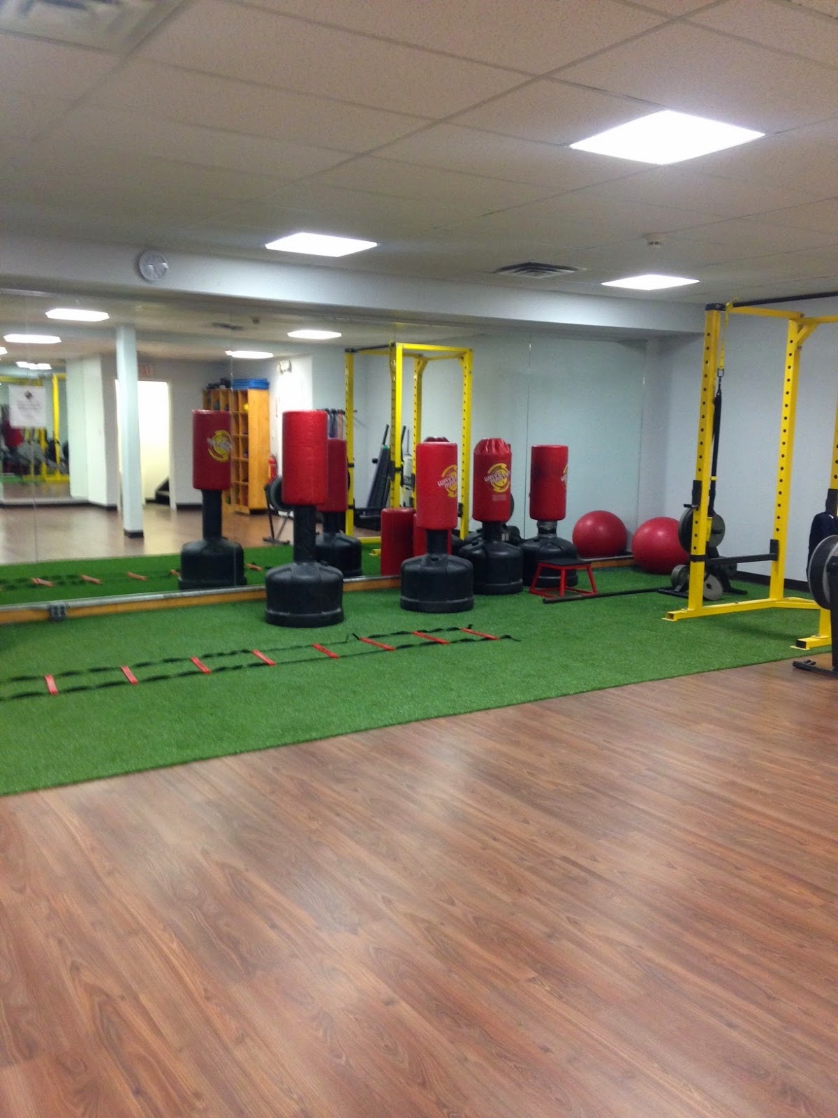 Photo of Elite Fitness in Locust Valley City, New York, United States - 10 Picture of Point of interest, Establishment, Health, Gym