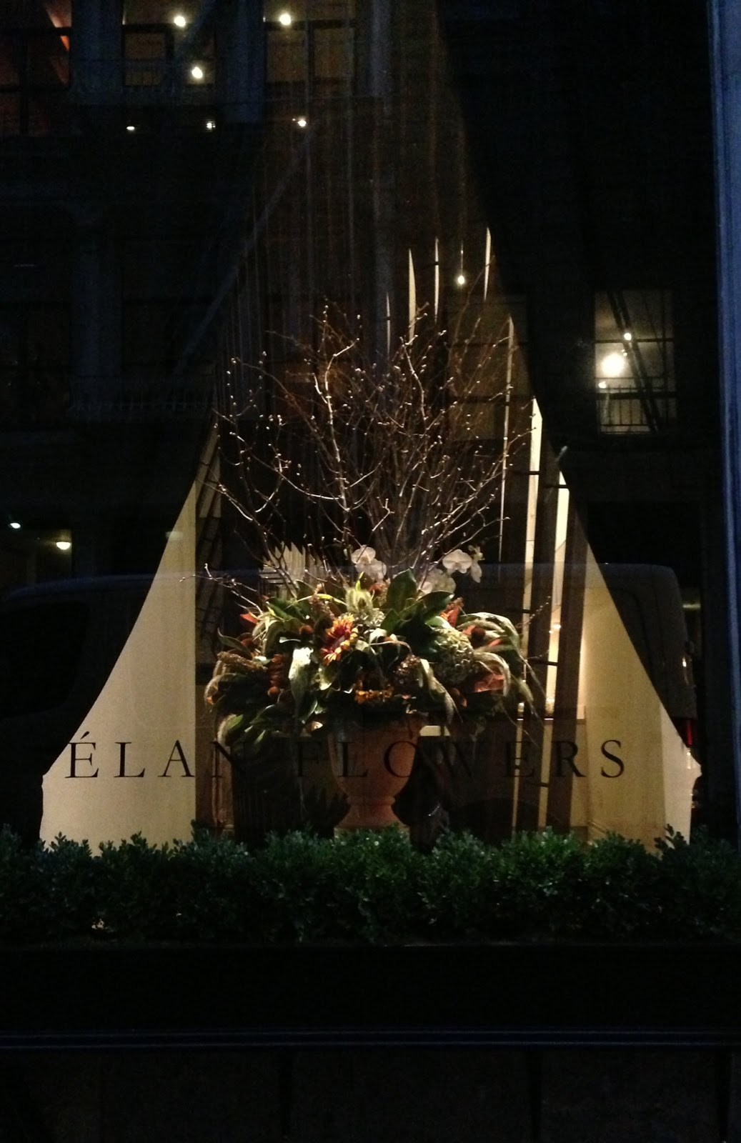 Photo of Élan Flowers in New York City, New York, United States - 5 Picture of Point of interest, Establishment, Store, Florist