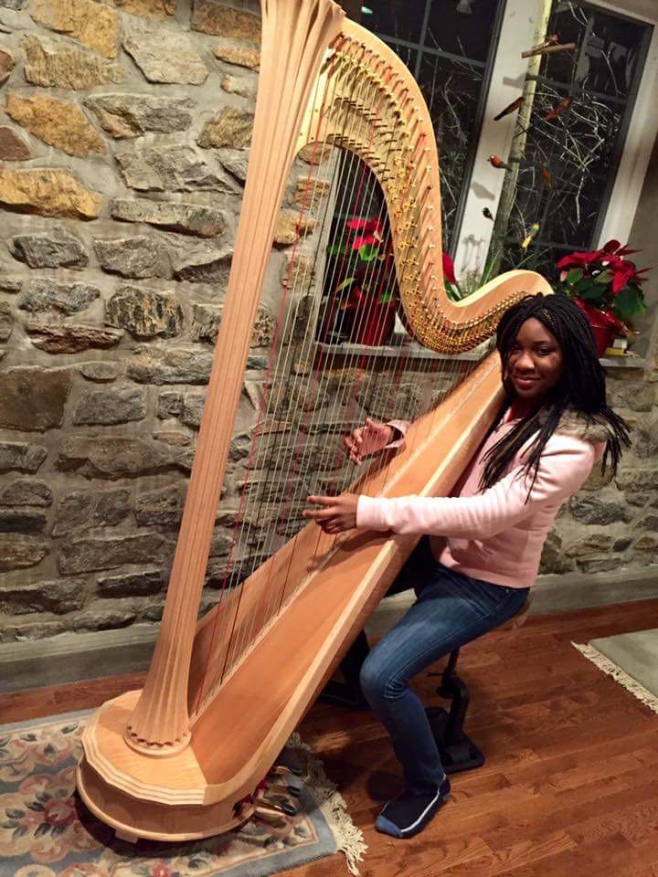 Photo of Veronica Greenan Music Studio: Harp Lessons, Piano Lessons in Yonkers City, New York, United States - 9 Picture of Point of interest, Establishment