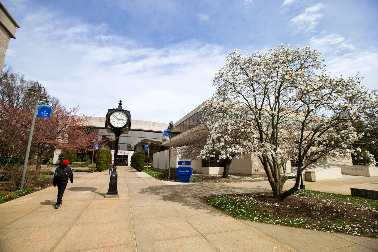 Photo of Hofstra University in Hempstead City, New York, United States - 3 Picture of Point of interest, Establishment, University