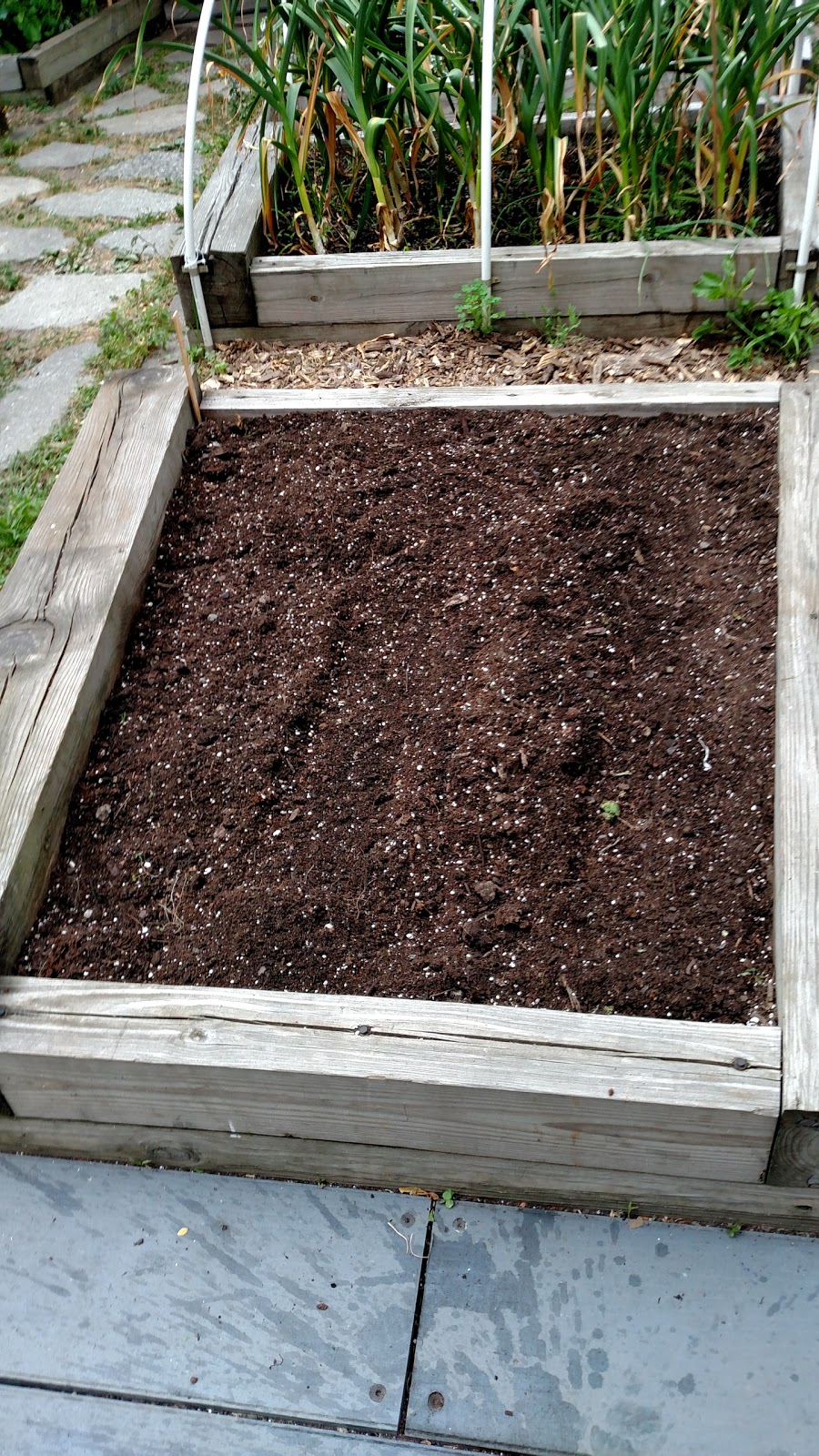 Photo of Bedford Stuyvesant Community Garden in Kings County City, New York, United States - 3 Picture of Point of interest, Establishment, Park