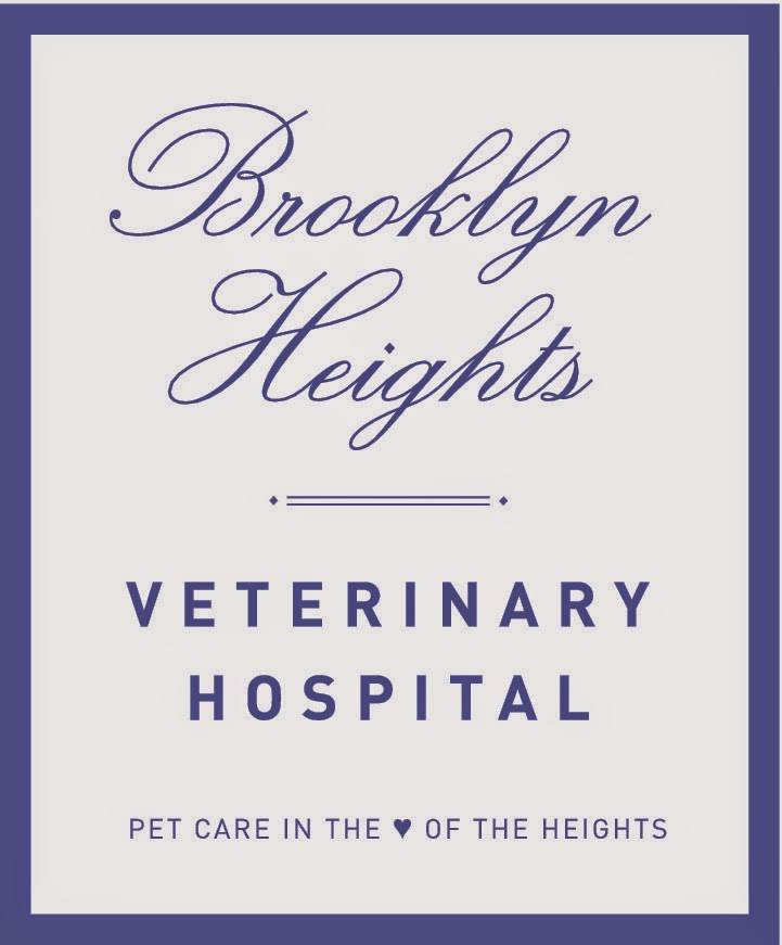 Photo of Brooklyn Heights Veterinary Hospital in Kings County City, New York, United States - 4 Picture of Point of interest, Establishment, Health, Veterinary care