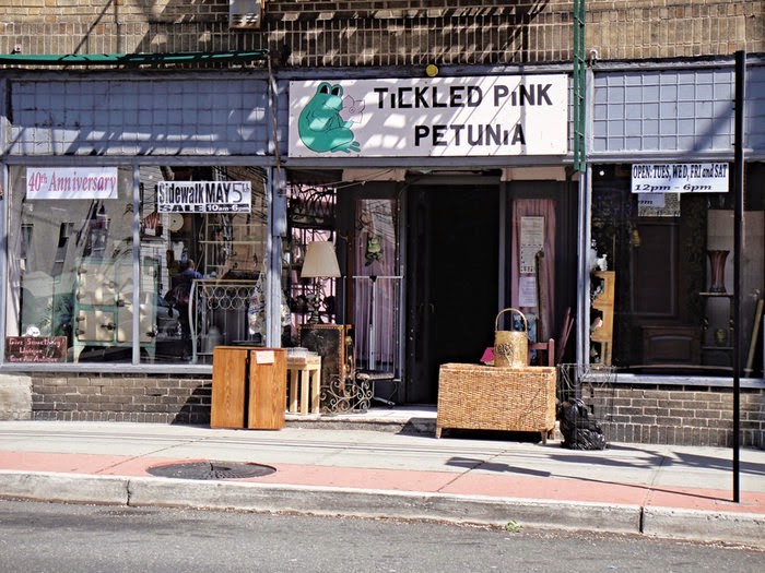 Photo of Tickled Pink Petunia in Guttenberg City, New Jersey, United States - 1 Picture of Point of interest, Establishment, Store