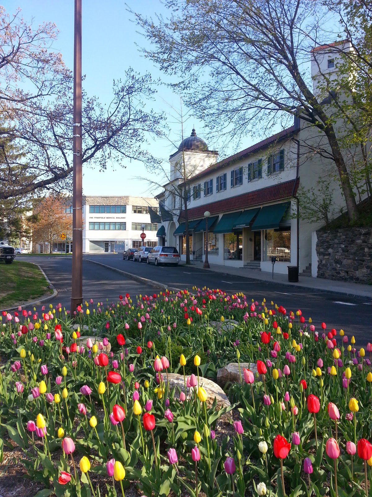 Photo of Zen Spa in Bronxville City, New York, United States - 6 Picture of Point of interest, Establishment, Spa