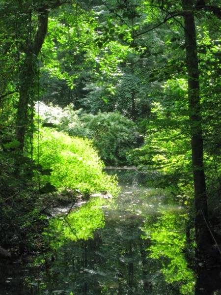 Photo of Sheldrake Environmental Center in Larchmont City, New York, United States - 6 Picture of Point of interest, Establishment, Park