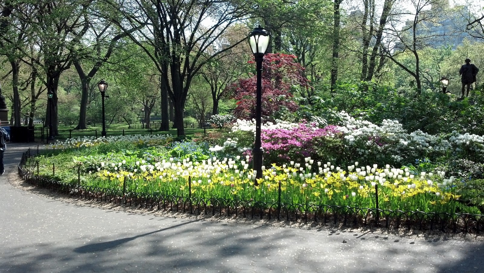Photo of Olmsted Flower Bed in New York City, New York, United States - 1 Picture of Point of interest, Establishment, Park