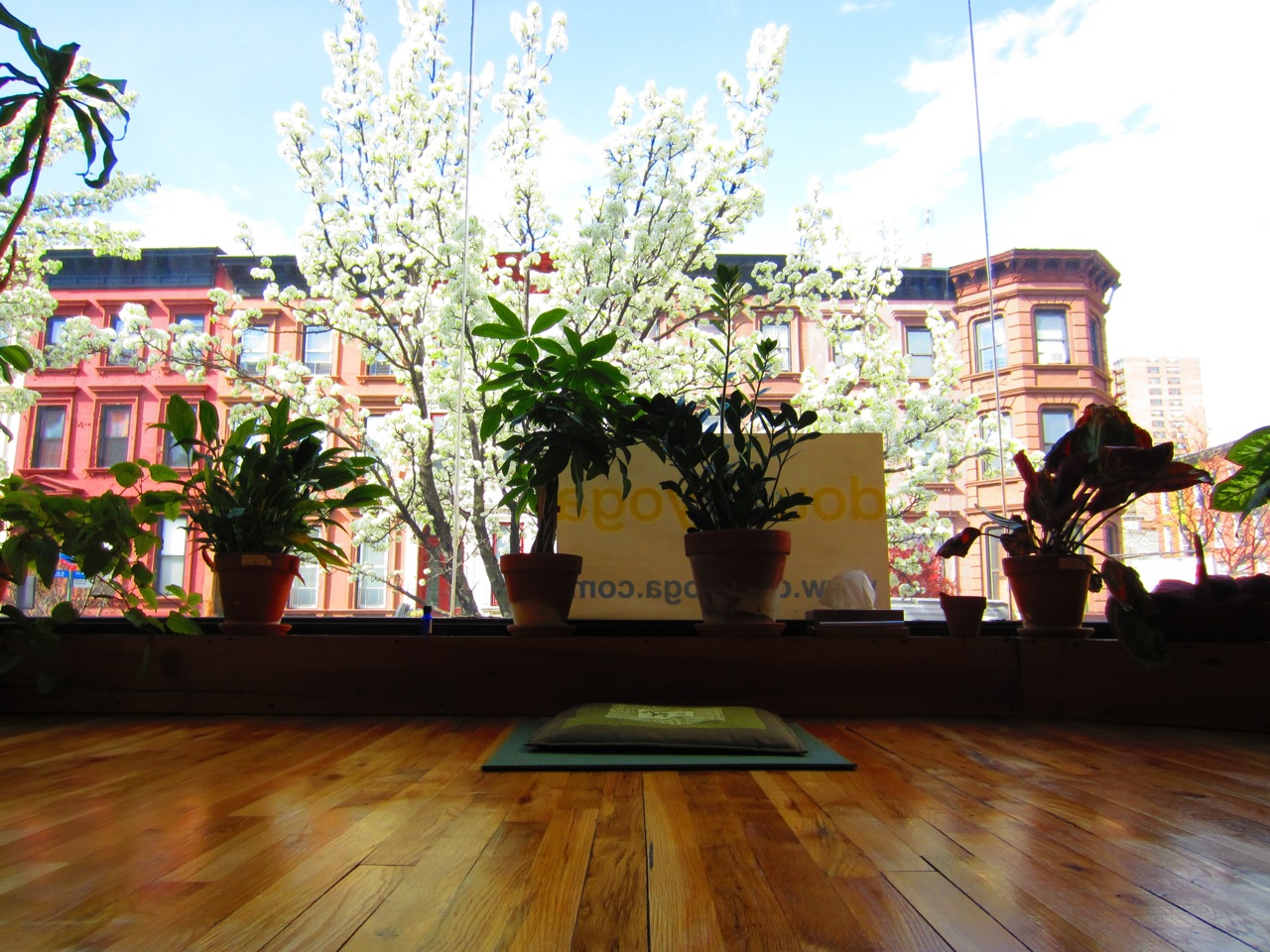 Photo of Dou Yoga in Kings County City, New York, United States - 1 Picture of Point of interest, Establishment, Health, Gym