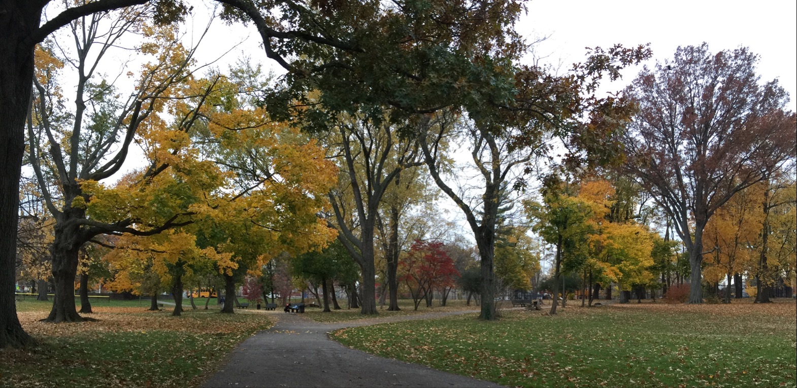 Photo of Crocheron Park in Bayside City, New York, United States - 4 Picture of Point of interest, Establishment, Park