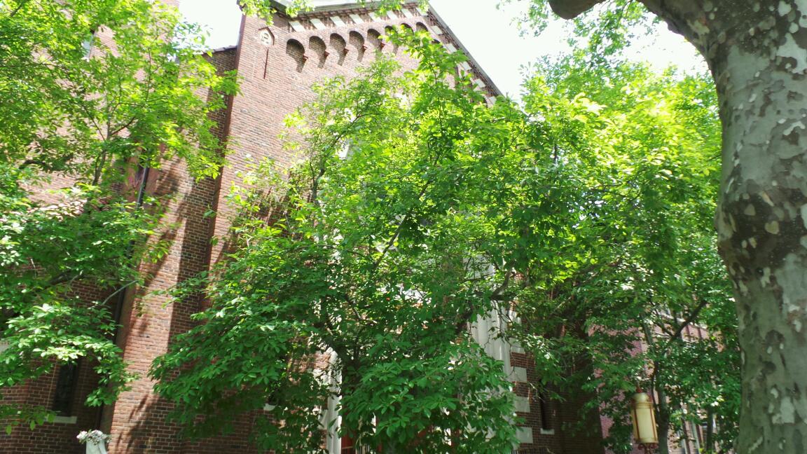 Photo of Our Lady of Mercy RC Church in Forest Hills City, New York, United States - 1 Picture of Point of interest, Establishment, Church, Place of worship