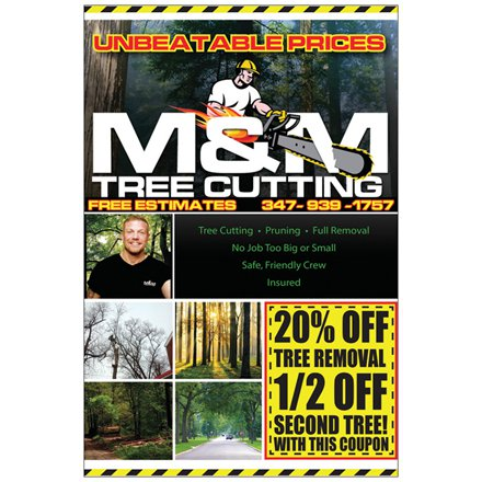 Photo of M&M Tree Cutting in Bronx City, New York, United States - 2 Picture of Point of interest, Establishment