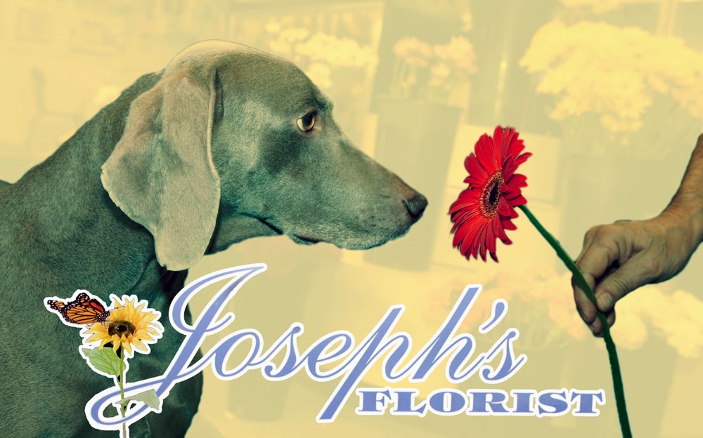 Photo of Joseph's Florists - JFK Shoppe in Jersey City, New Jersey, United States - 5 Picture of Point of interest, Establishment, Store, Florist