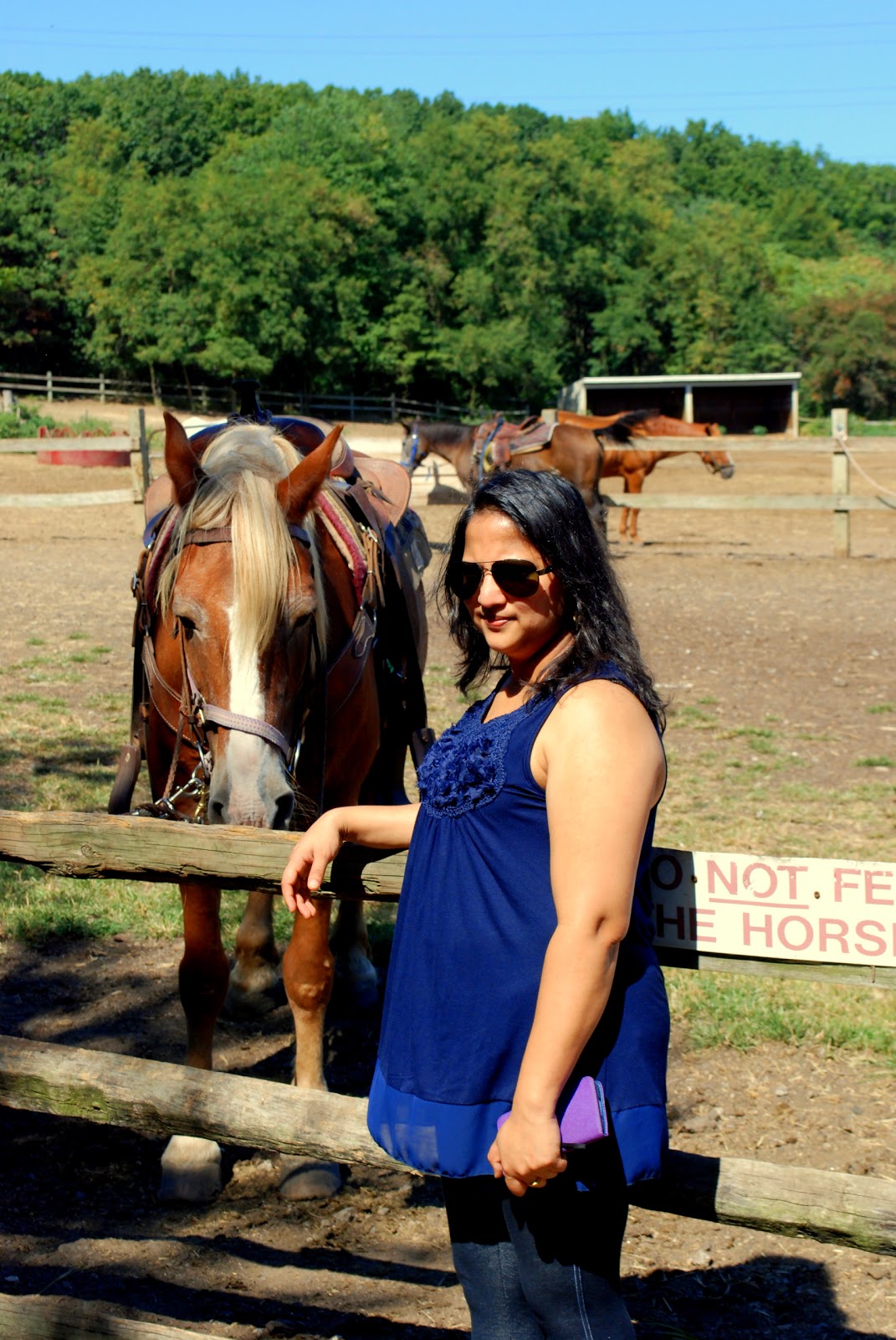 Photo of Legacy Riding Stables in Sayreville City, New Jersey, United States - 4 Picture of Point of interest, Establishment