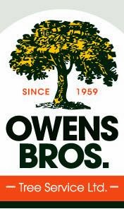 Photo of Owens Brothers Tree Service in Bronx City, New York, United States - 7 Picture of Point of interest, Establishment