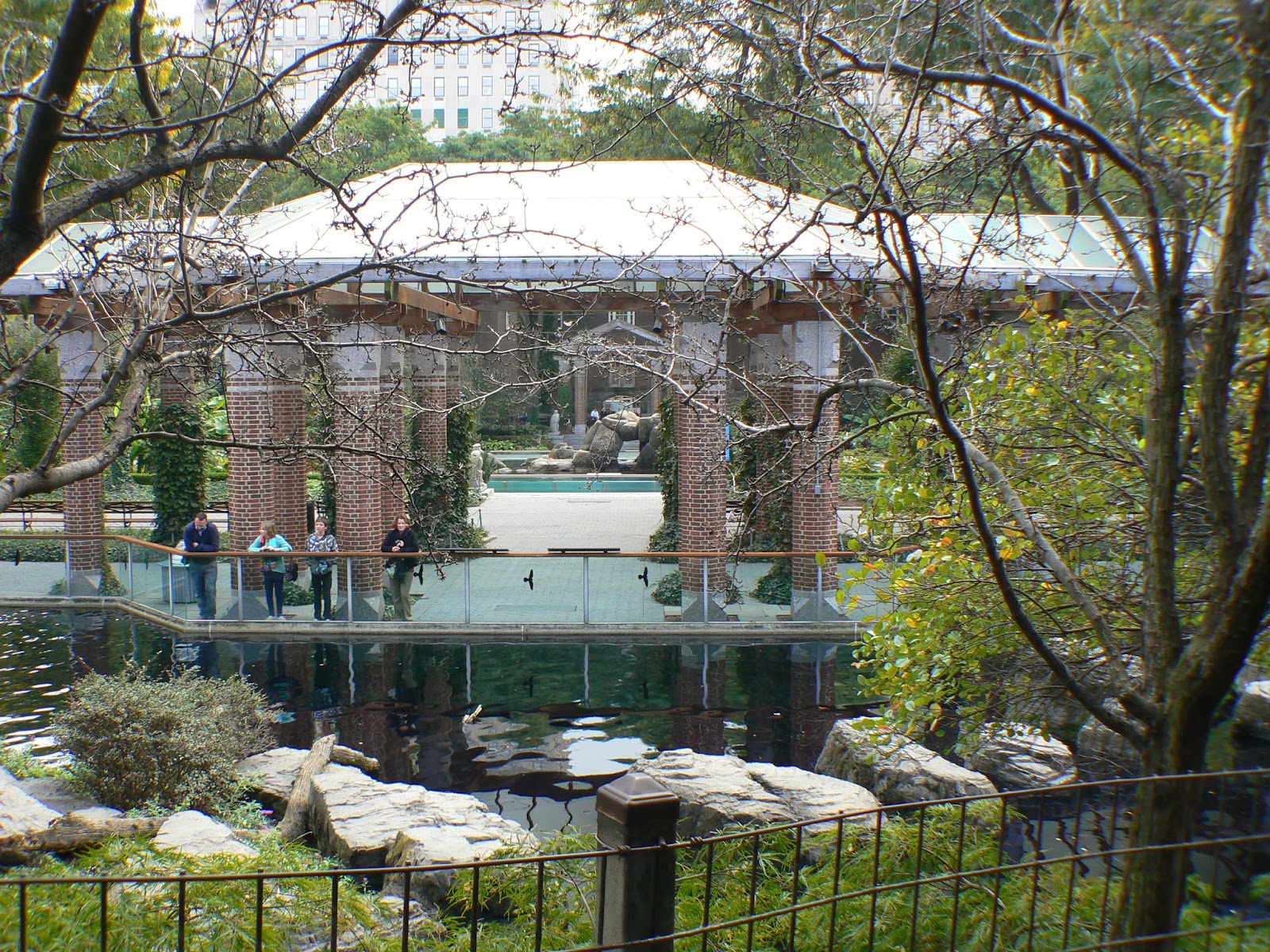 Photo of Central Park Zoo in New York City, New York, United States - 5 Picture of Point of interest, Establishment, Zoo