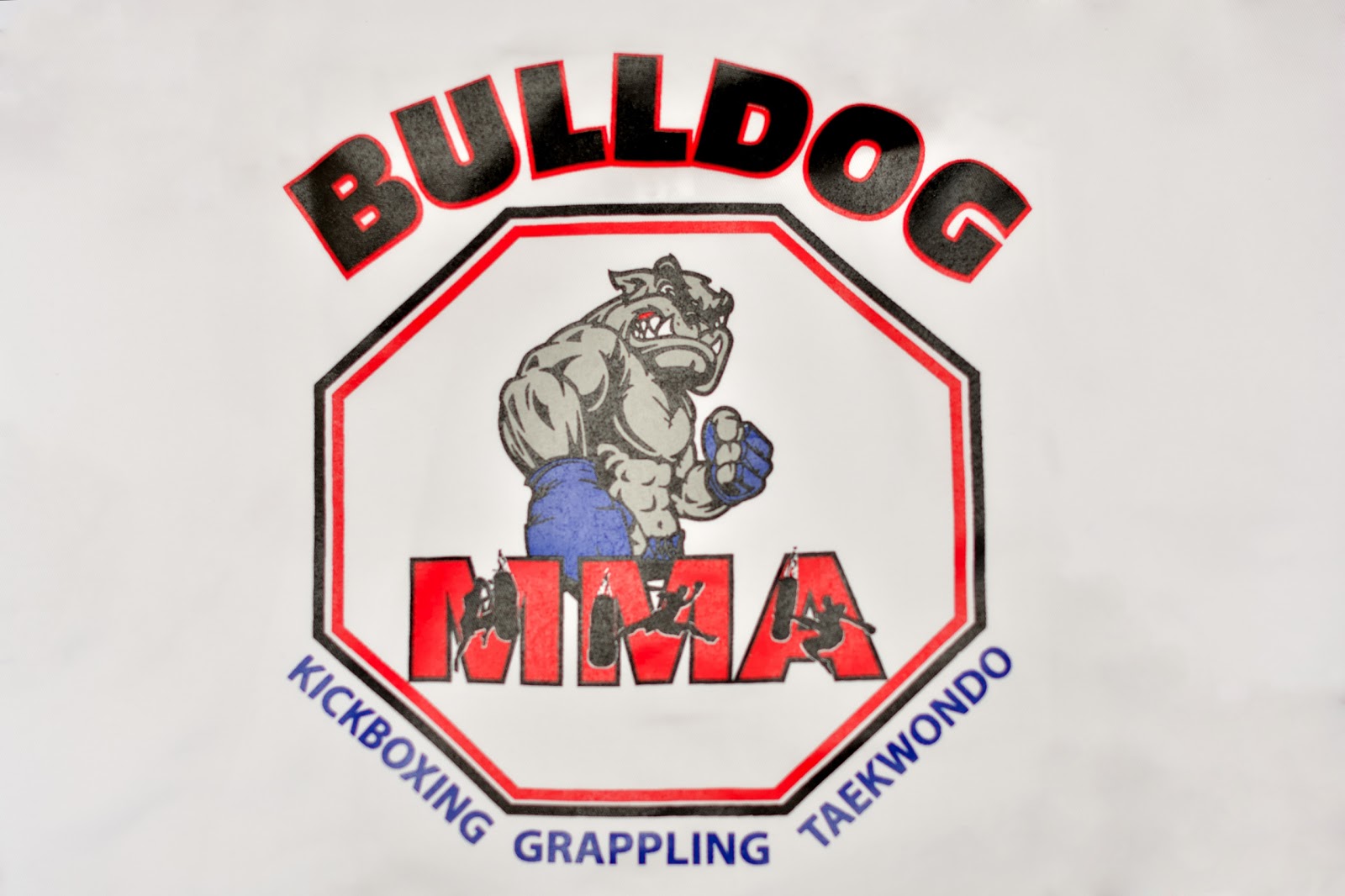 Photo of Bulldog MMA/ Mixed Martial Arts. #1 in Rutherford City, New Jersey, United States - 3 Picture of Point of interest, Establishment, School, Health, Gym
