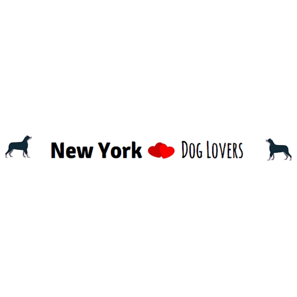 Photo of New York Dog Lovers - Dog Walker in Kings County City, New York, United States - 9 Picture of Point of interest, Establishment