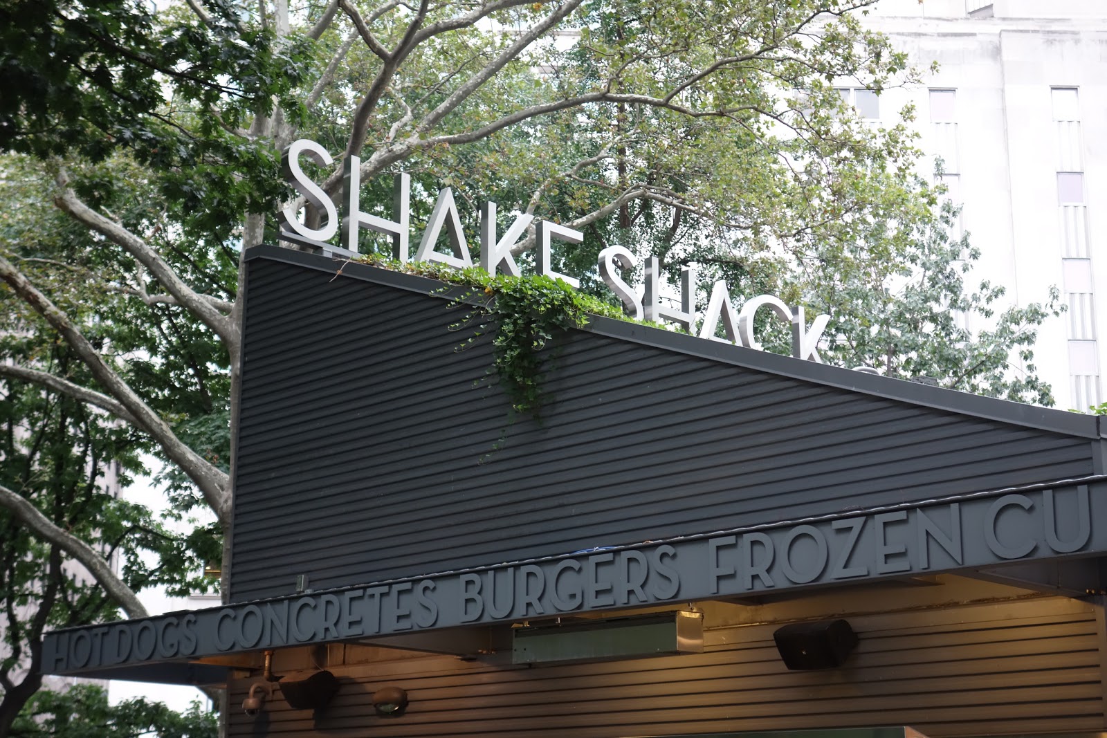 Photo of Shake Shack in New York City, New York, United States - 10 Picture of Restaurant, Food, Point of interest, Establishment, Store, Meal takeaway