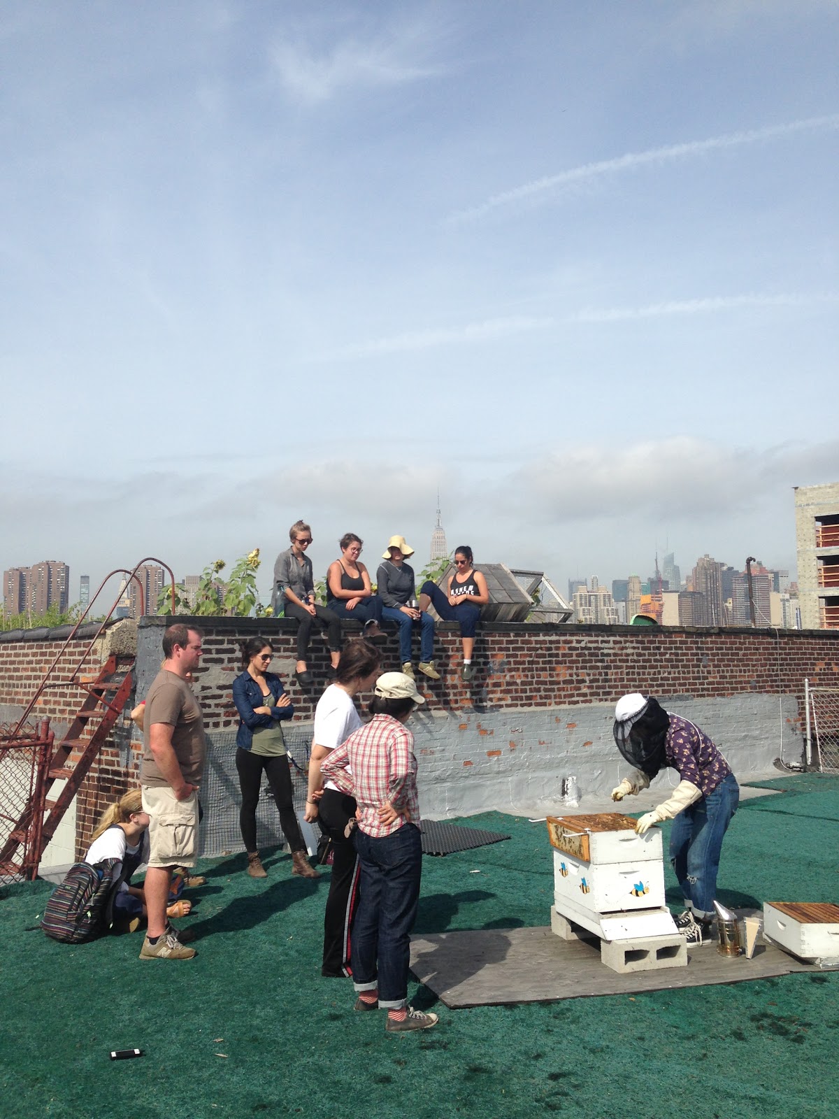 Photo of Eagle Street Rooftop Farm in Brooklyn City, New York, United States - 7 Picture of Food, Point of interest, Establishment