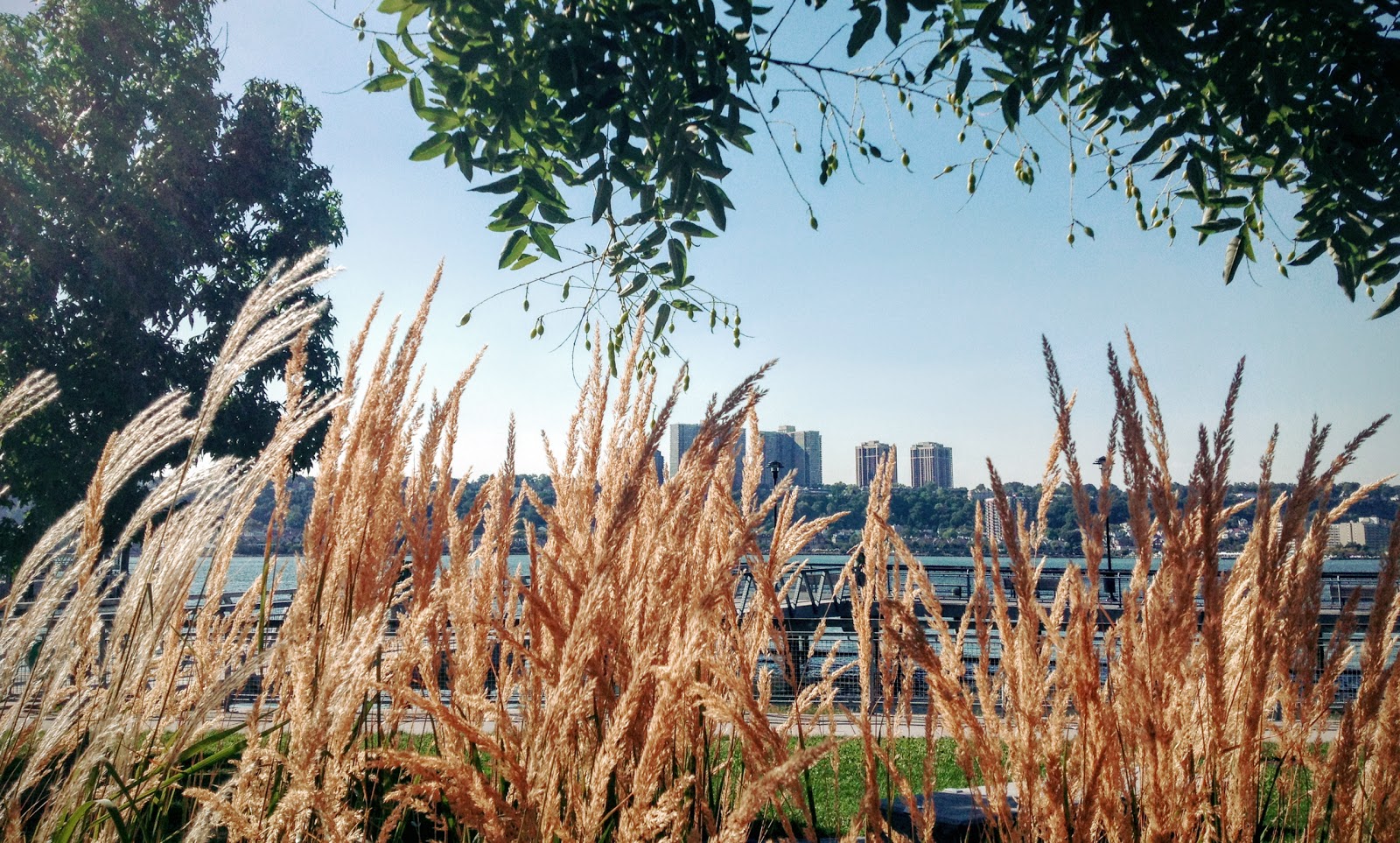 Photo of West Harlem Piers in New York City, New York, United States - 3 Picture of Point of interest, Establishment, Park