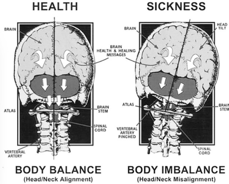 Photo of House of Chiropractic in Kings County City, New York, United States - 6 Picture of Point of interest, Establishment, Health