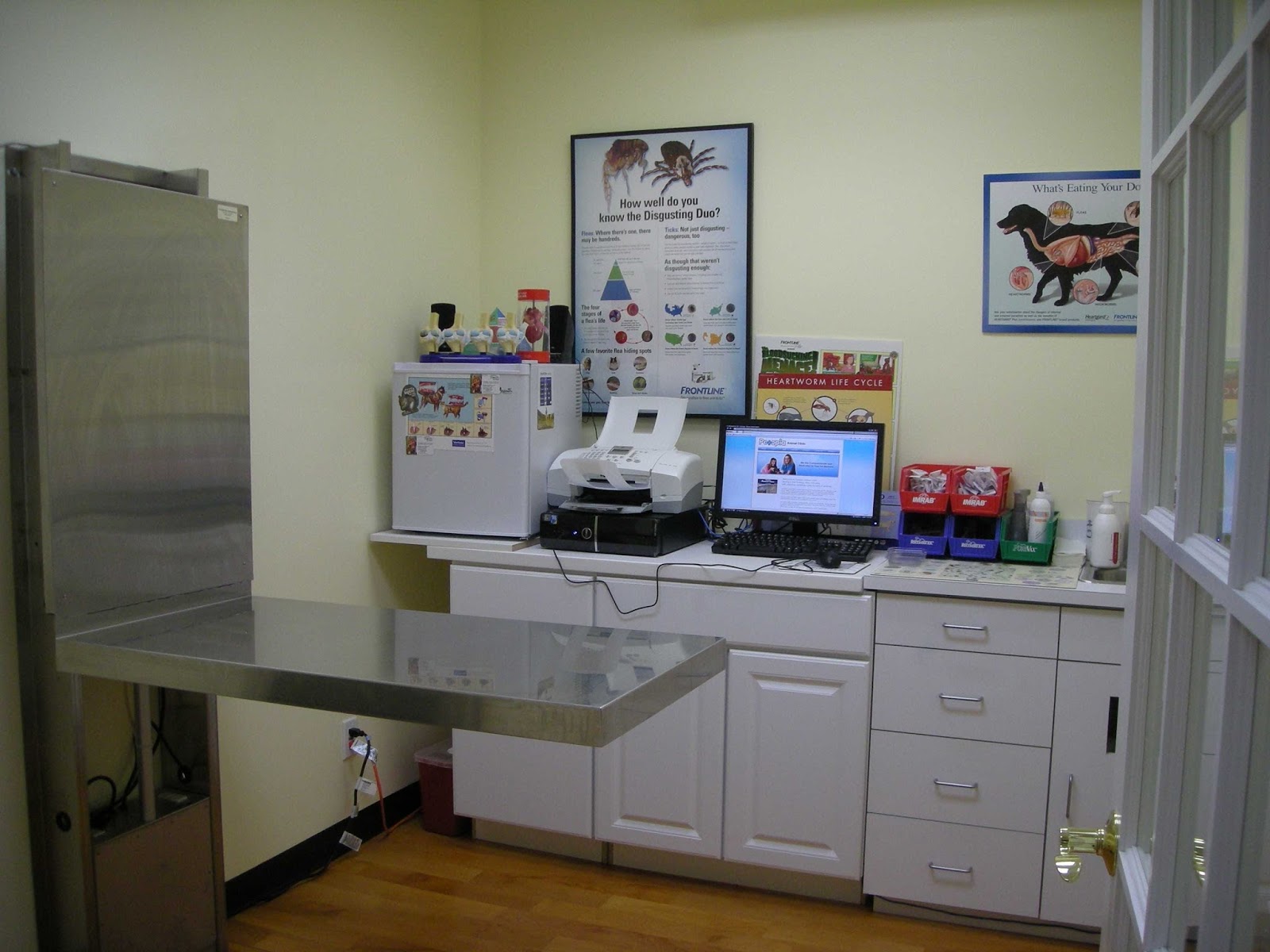 Photo of Petopia 寵物醫院 in Queens City, New York, United States - 6 Picture of Point of interest, Establishment, Veterinary care