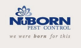 Photo of NuBorn Pest Control in Mamaroneck City, New York, United States - 2 Picture of Point of interest, Establishment, Store, Home goods store