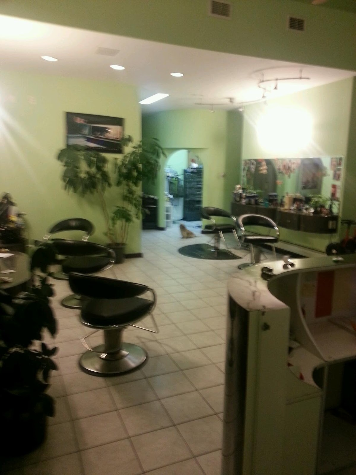 Photo of Hair Palace in Staten Island City, New York, United States - 3 Picture of Point of interest, Establishment, Beauty salon, Hair care