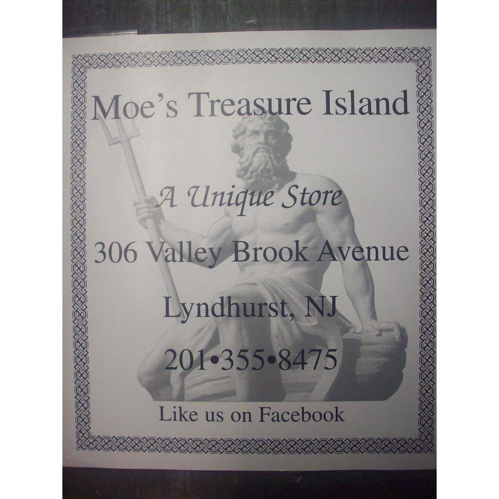 Photo of Moe's Treasure Island in Lyndhurst City, New Jersey, United States - 3 Picture of Point of interest, Establishment, Store, Electronics store