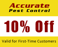 Photo of Accurate Pest Control in Staten Island City, New York, United States - 5 Picture of Point of interest, Establishment, Store, Home goods store