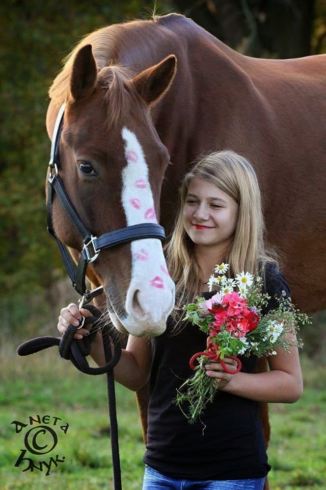 Photo of New York Equestrian Center in West Hempstead City, New York, United States - 5 Picture of Point of interest, Establishment