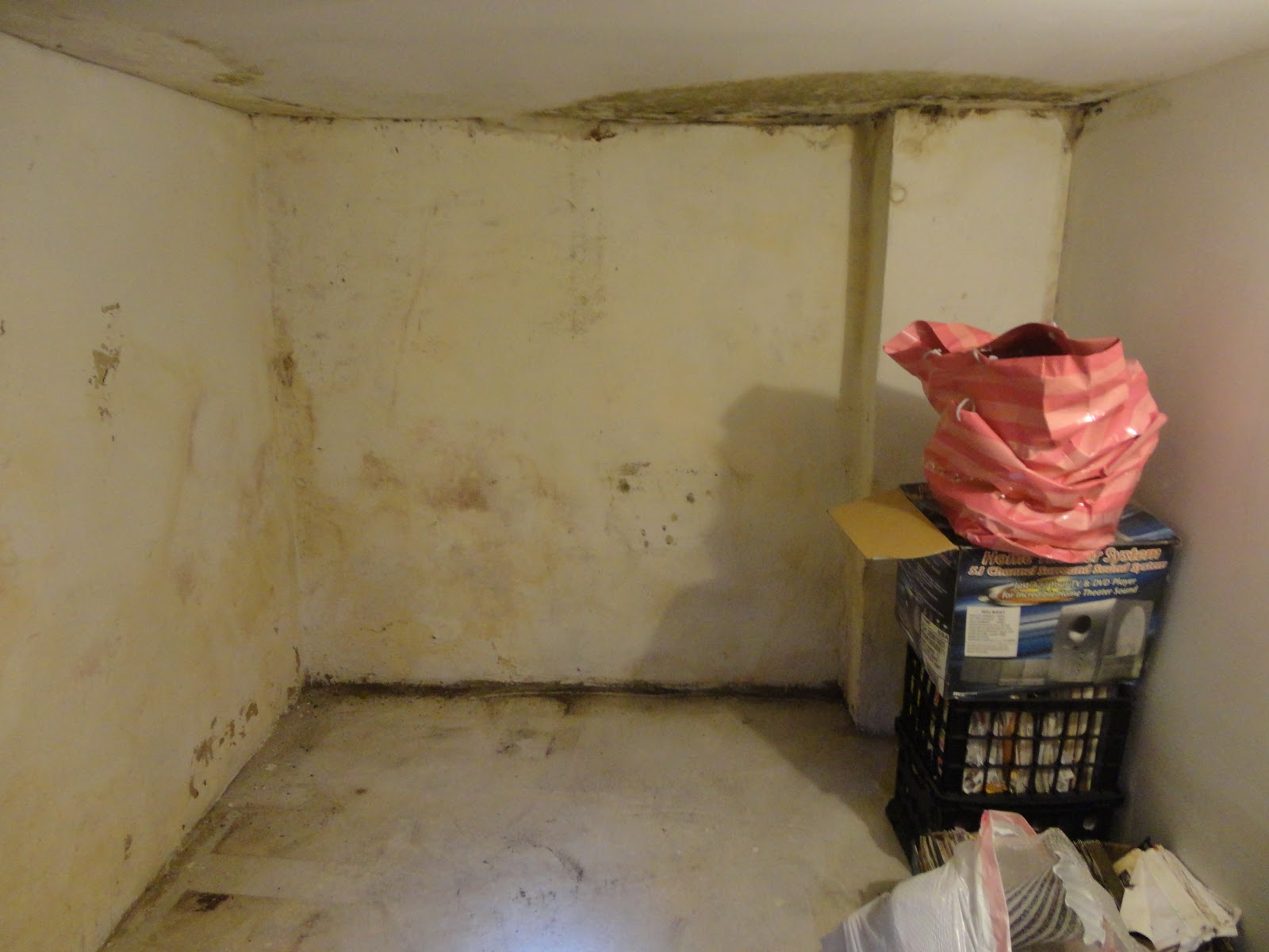 Photo of Mold & Water Damage Service Specialists in Montclair City, New Jersey, United States - 4 Picture of Point of interest, Establishment