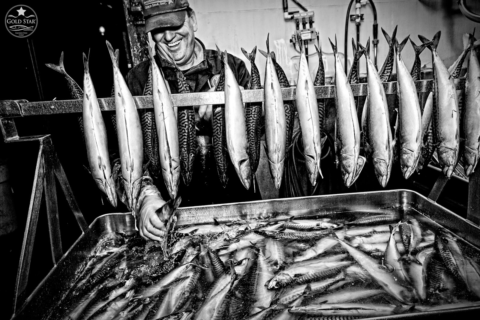 Photo of Gold Star Smoked Fish Corp in Brooklyn City, New York, United States - 5 Picture of Food, Point of interest, Establishment