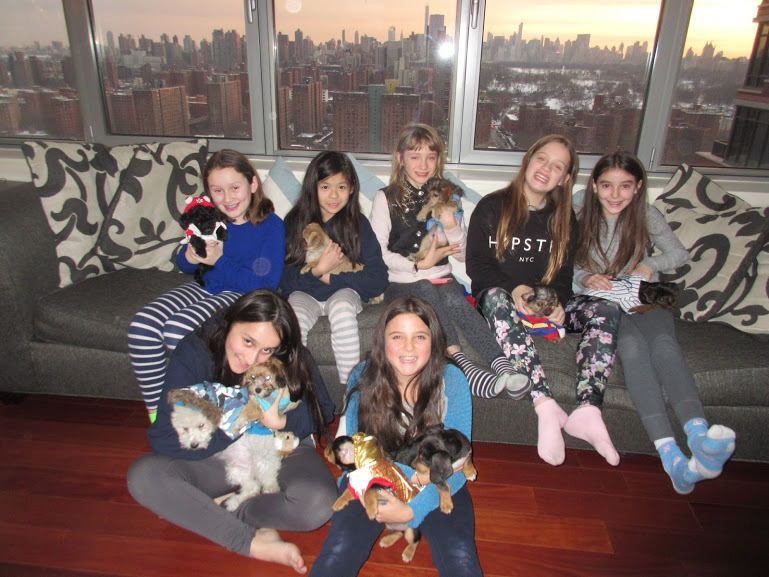 Photo of The Original Puppy Party! in Brooklyn City, New York, United States - 3 Picture of Point of interest, Establishment