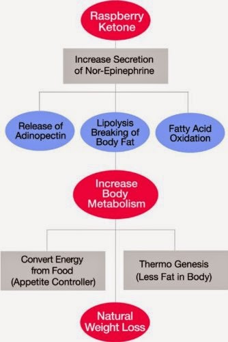 Photo of Summit Nutritions in Jersey City, New Jersey, United States - 5 Picture of Point of interest, Establishment, Health