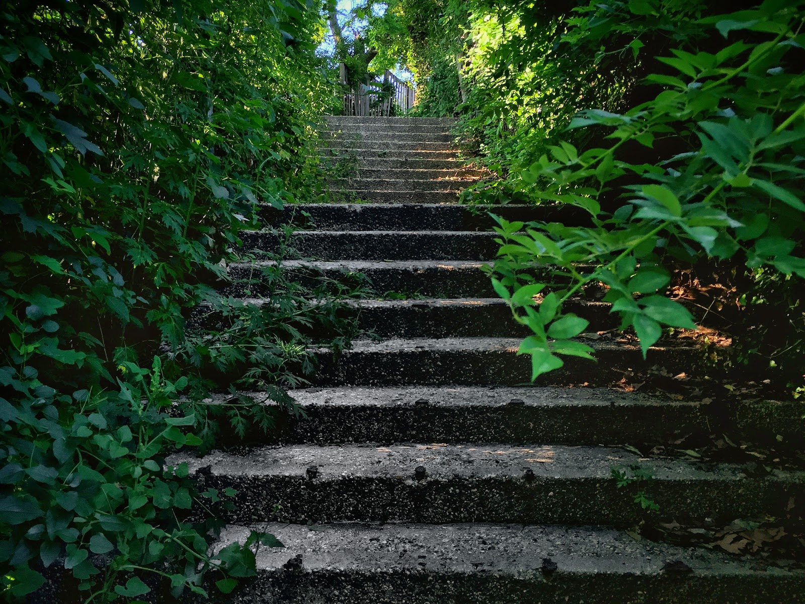 Photo of The Secret Staircase in Richmond City, New York, United States - 1 Picture of Point of interest, Establishment, Park