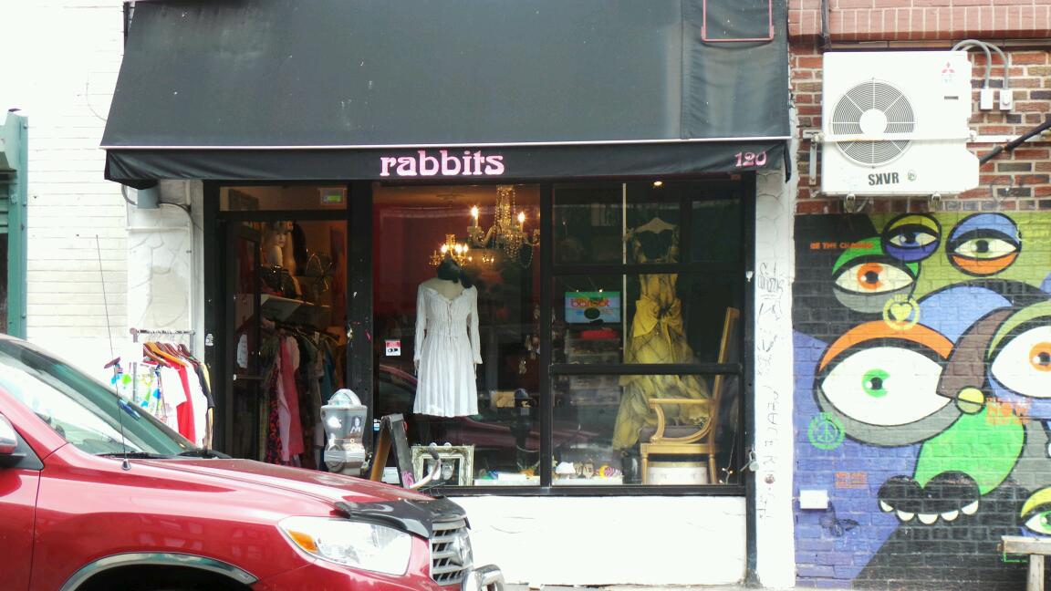 Photo of Rabbits in Kings County City, New York, United States - 1 Picture of Point of interest, Establishment, Store, Clothing store