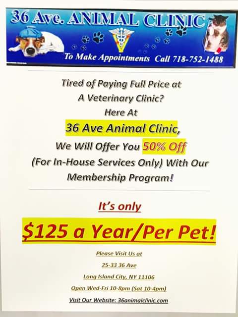 Photo of 36 Ave Animal Clinic in Queens City, New York, United States - 3 Picture of Point of interest, Establishment, Veterinary care