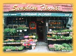 Photo of Sunshine Florist Inc. in New York City, New York, United States - 7 Picture of Point of interest, Establishment, Store, Florist