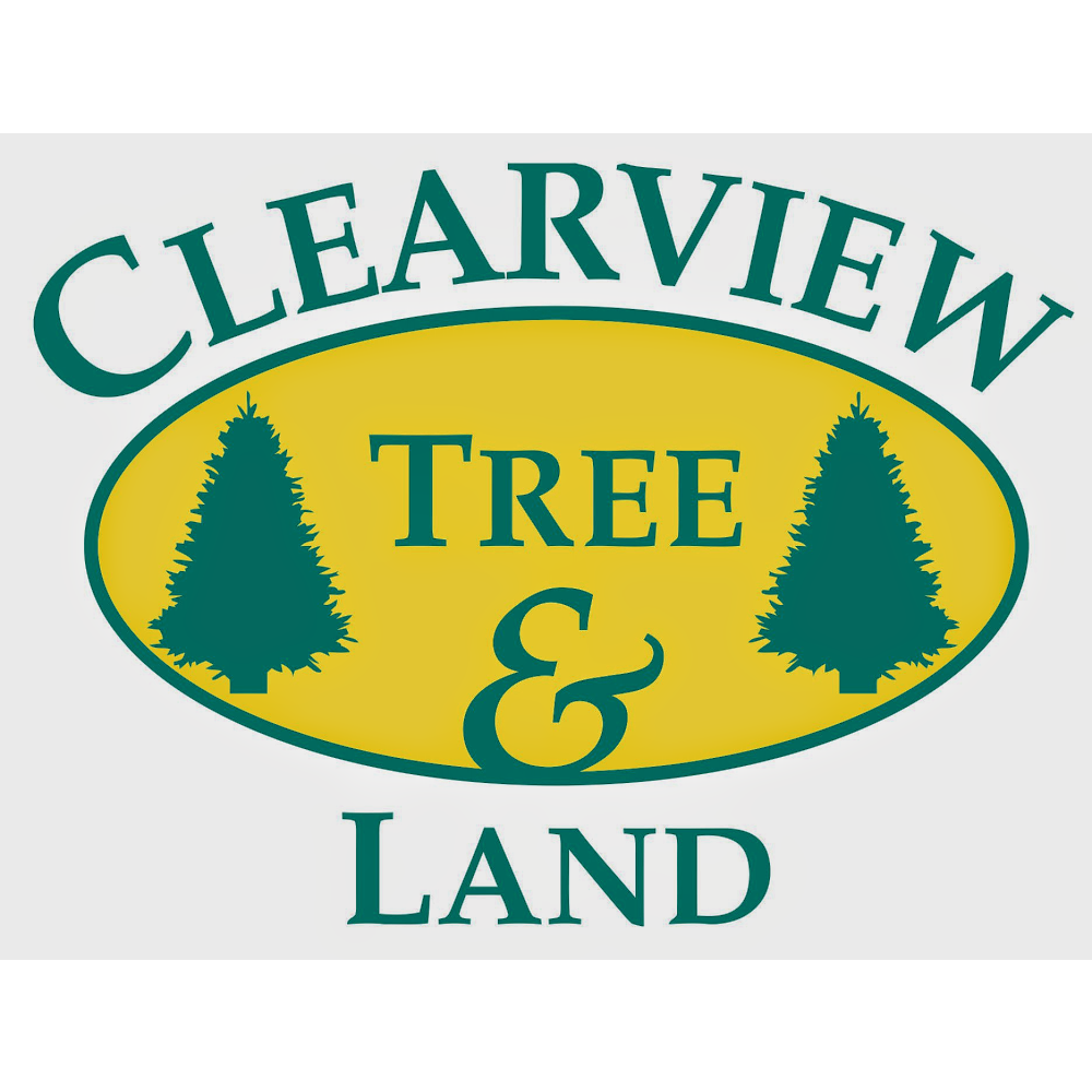 Photo of Clearview Tree and Land in Westbury City, New York, United States - 5 Picture of Point of interest, Establishment