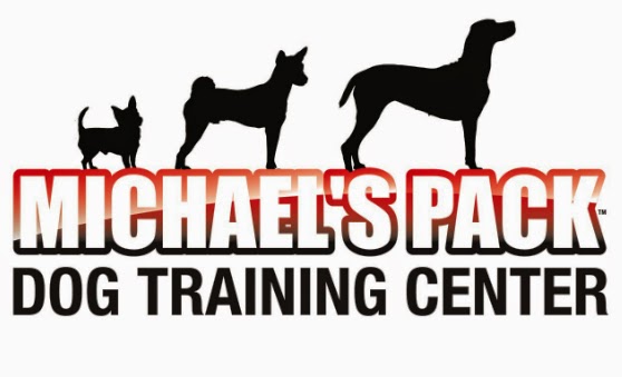 Photo of Michael's Pack Dog Training Center in Mineola City, New York, United States - 2 Picture of Point of interest, Establishment