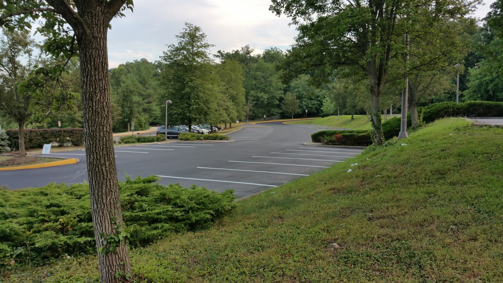 Photo of AT Line Striping LLC in Elmwood Park City, New Jersey, United States - 1 Picture of Point of interest, Establishment, General contractor, Parking