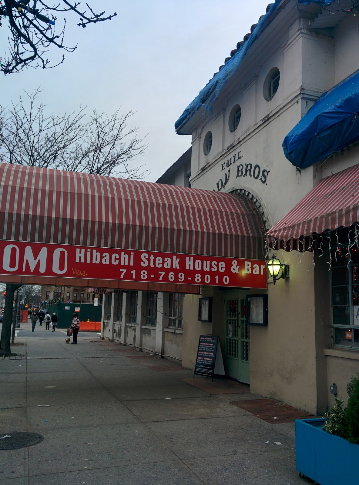 Photo of Momo in Kings County City, New York, United States - 6 Picture of Restaurant, Food, Point of interest, Establishment