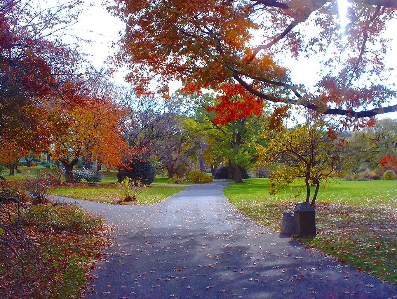 Photo of Brooklyn Botanic Garden Events in Brooklyn City, New York, United States - 6 Picture of Point of interest, Establishment, Park