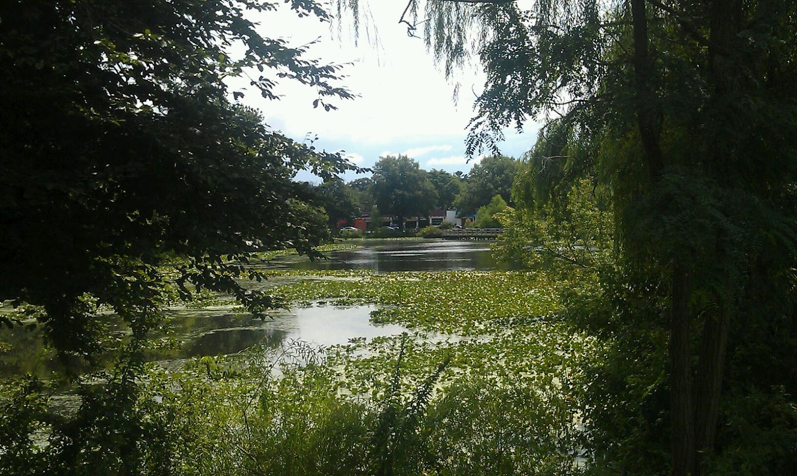 Photo of Lofts Pond Park in Baldwin City, New York, United States - 1 Picture of Point of interest, Establishment, Park