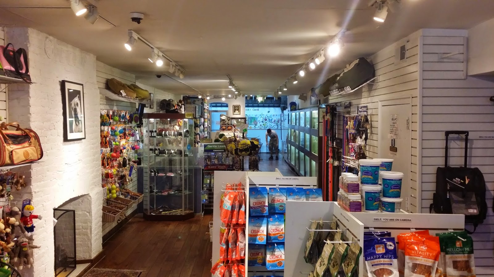 Photo of Citipups Chelsea in New York City, New York, United States - 2 Picture of Point of interest, Establishment, Store, Pet store